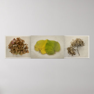 Blume tryptich poster