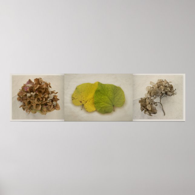 Blume tryptich poster (Vorne)