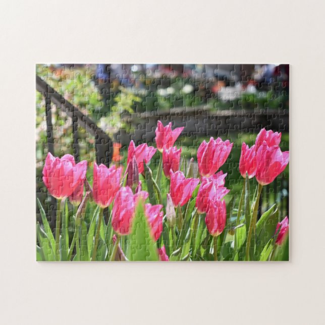 Blume Tulip Festival - Martha Argerich Projekt (Horizontal)