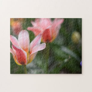 Blume Tulip Festival - Martha Argerich Projekt