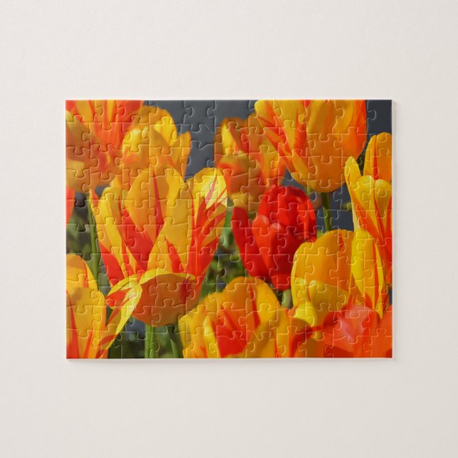 Blume Tulips (Horizontal)