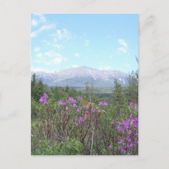 Blume und Berge Postkarte (Vorderseite)