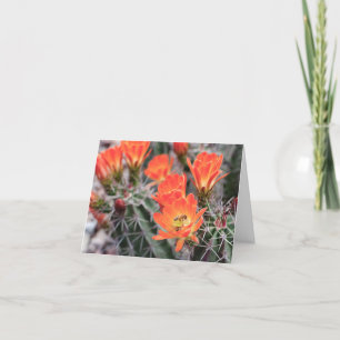 Blume und Bienen   Sunset Blossoms Note Card Dankeskarte