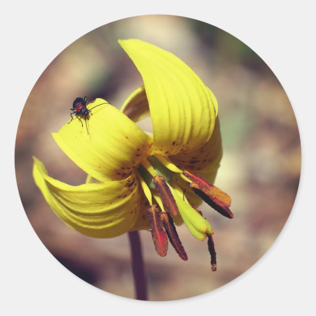 Blume und Freund der Forelle Runder Aufkleber (Vorderseite)