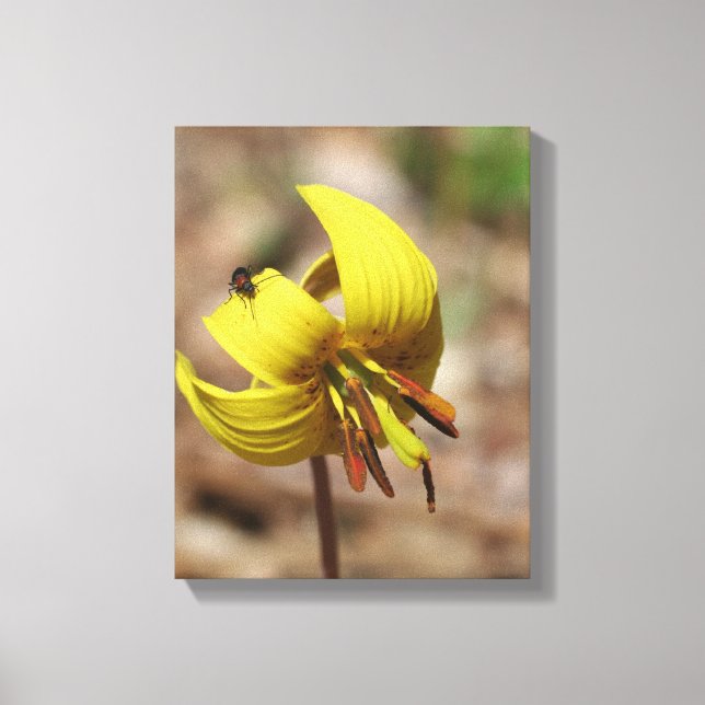 Blume und Freund der Waldforelle Leinwanddruck (Vorderseite)