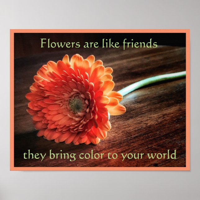 Blume und Freundschaftswerbung Poster (Vorne)