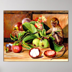 Blume und Früchte von Mangostanen; Singapore Monke Poster