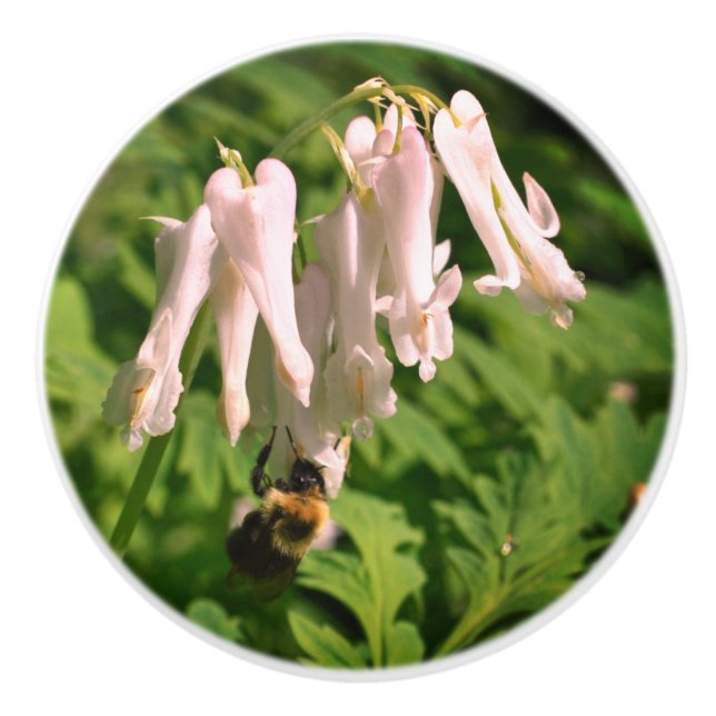 Blume und Hummel Keramikknauf (Vorderseite)