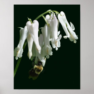 Blume und Hummel Poster