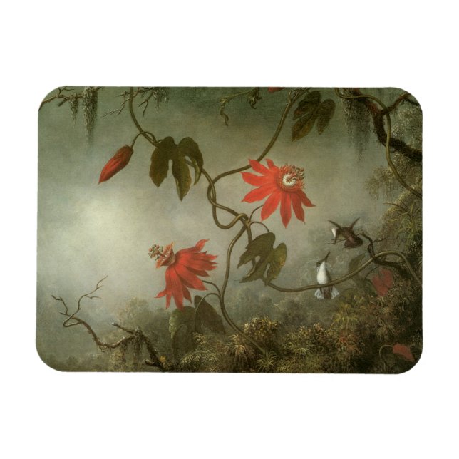 Blume und Hummingbirds von Martin J Heade Magnet (Horizontal)