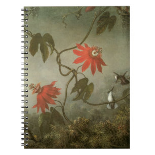 Blume und Hummingbirds von Martin J Heade Notizblock