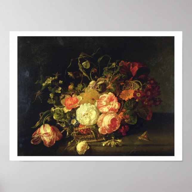 Blume und Insekten, 1711 (Öl auf Tafel) Poster (Vorne)