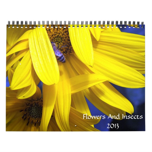 Blume und Insekten - Kalender 2013 (Titelbild)