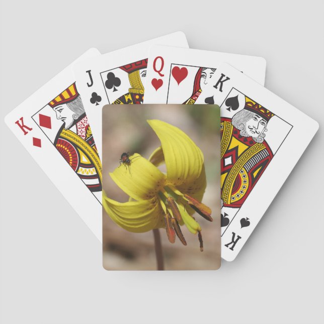 Blume und Insektenfreund Spielkarten (Rückseite)