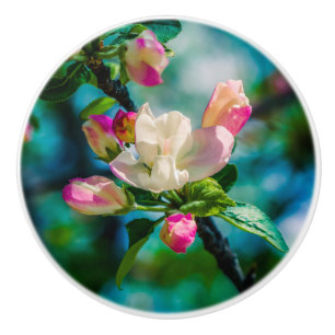 Blume und Knospen Keramikknauf