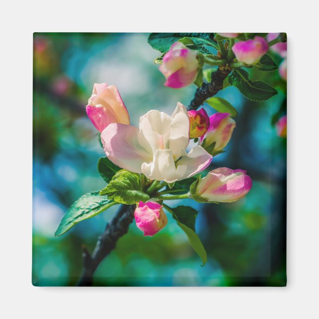 Blume und Knospen Magnet (Vorne)