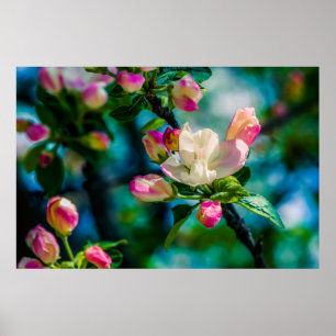 Blume und Knospen Poster