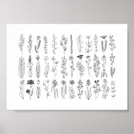 Blume und Kräuter-Tinte Zeichnend Poster