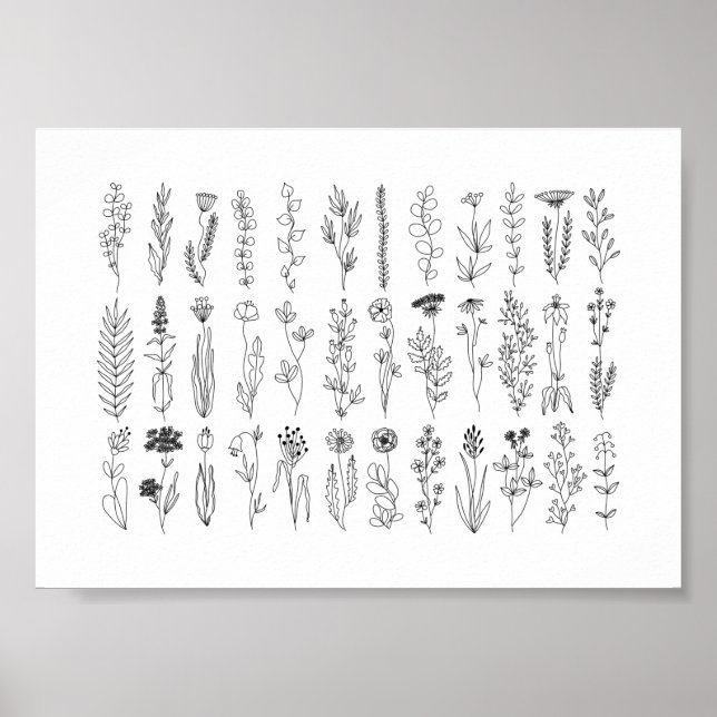 Blume und Kräuter-Tinte Zeichnend Poster (Vorne)