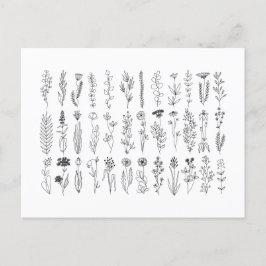 Blume und Kräuter-Tinte Zeichnend Postkarte