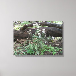 Blume und Leinwand protokollieren