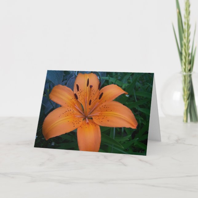 Blume und Pflanze Karte (Vorderseite)