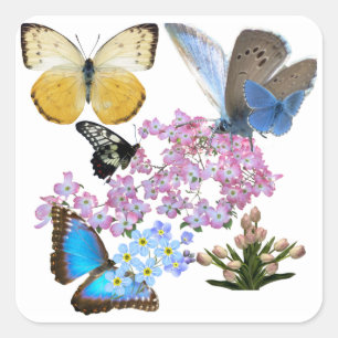Blume und Schmetterlinge : Eine neue, größere Quadratischer Aufkleber