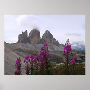 Blume und Tre Cime Poster