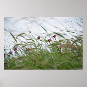 Blume- und Unkrautposter Poster
