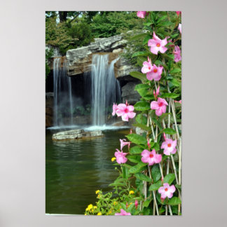 Blume und Wasserfall Poster