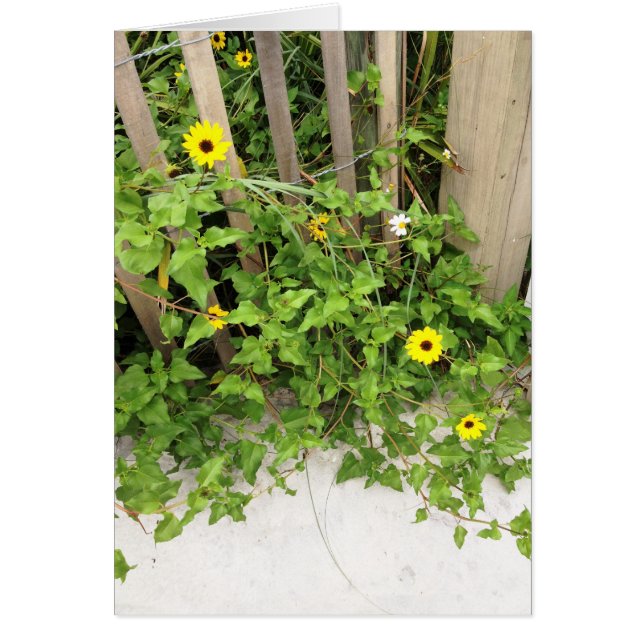 Blume und Zaun am Strand (Vorne)