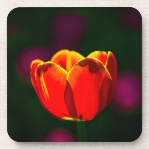 Blume Untersetzer