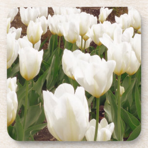 Blume Untersetzer