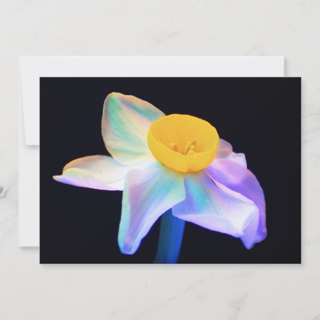 Blume UV-Foto-Blankekarte (Vorderseite)