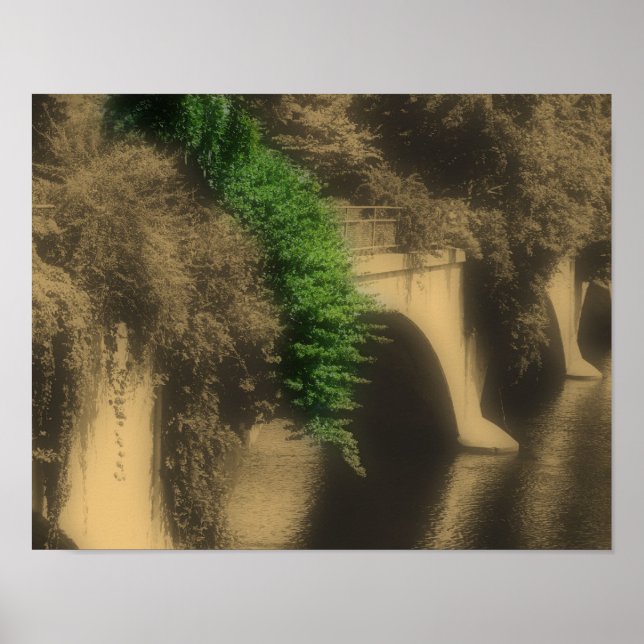 Blume Vintag teilweise farbig Poster (Vorne)