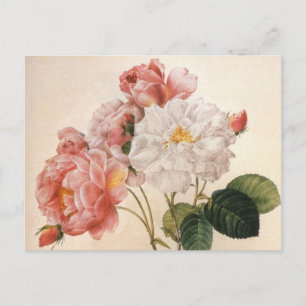 Blume Vintage Rose Postkarte