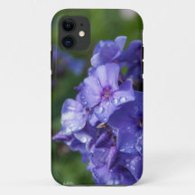 Blume violett mit dem Tau des Morgens