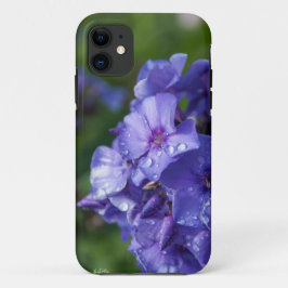 Blume violett mit dem Tau des Morgens title_seo2