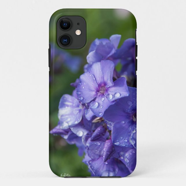 Blume violett mit dem Tau des Morgens Case-Mate iPhone Hülle (Rückseite)