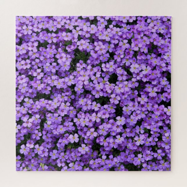 Blume - Violette (Horizontal)