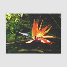 Blume-Vogelgefecht Seidenpapier