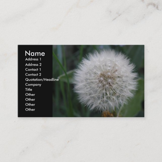 Blume von Dandelleuchten mit kundenspezifischen Vi Visitenkarte (Vorderseite)