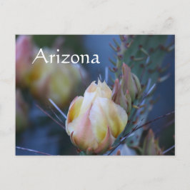 Blume von Elfenbeinkaktus, Arizona Postkarte