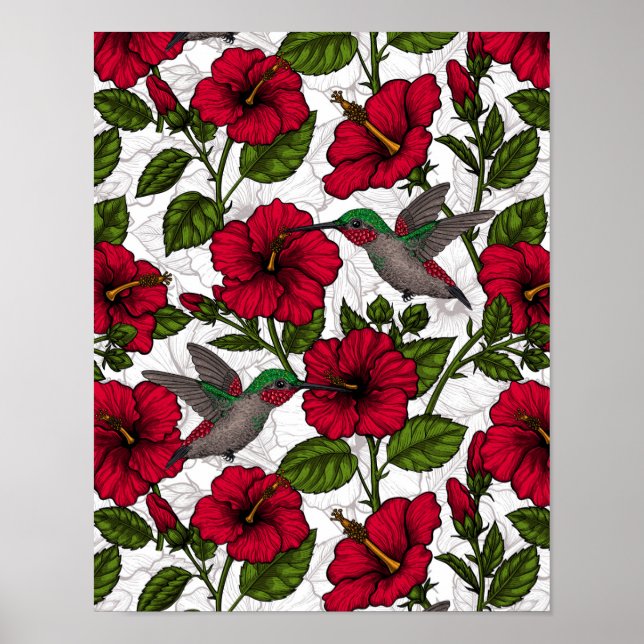 Blume von Hibisken und Kolibri Poster (Vorne)