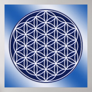 Blume von Leben/Himmel Poster