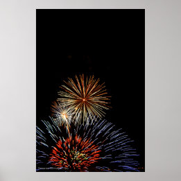 Blume von Lichtdruck Poster