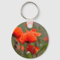 Blume von Mohn in einem Feld.