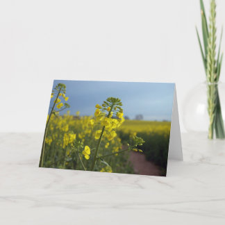 Blume von Ölraps Karte