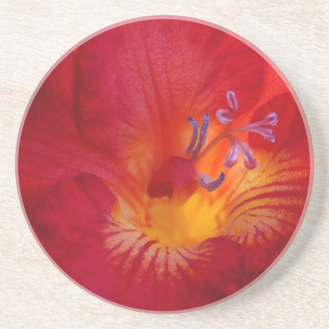Blume von Red Freesia Getränkeuntersetzer (Vorne)