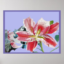 Blume von Red Lily Watercolor